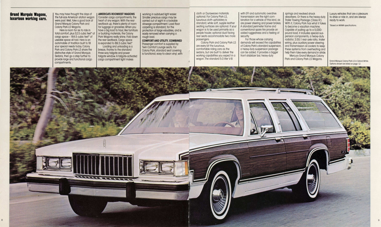 n_1984 Mercury Grand Marquis-08-09.jpg